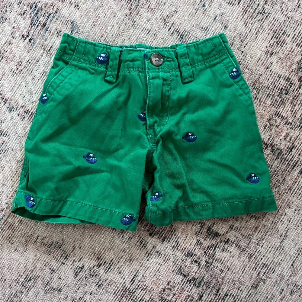 Place Green Shorts with Blue Accents 12-18 months